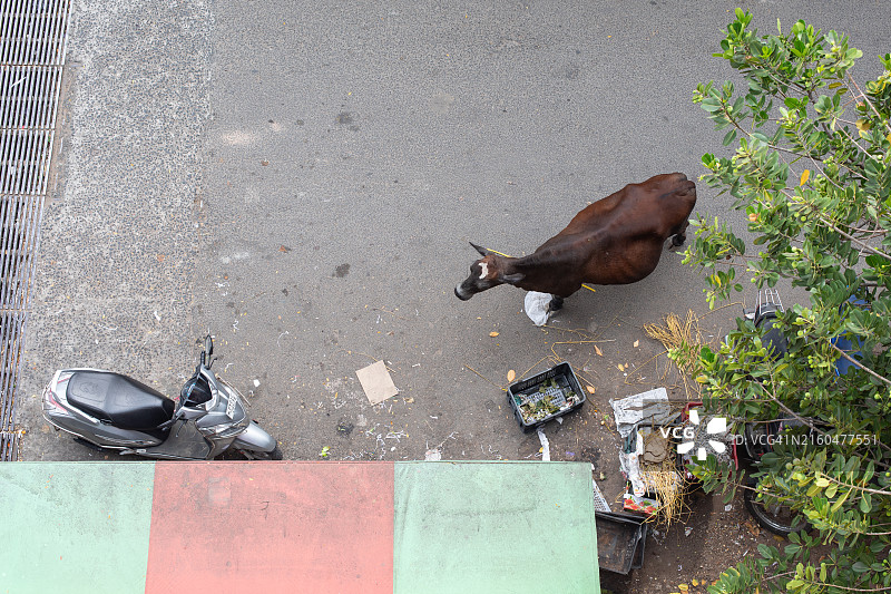 印度本地治里市中心图片素材