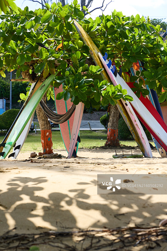 欧文山海湾冲浪板，多巴哥图片素材