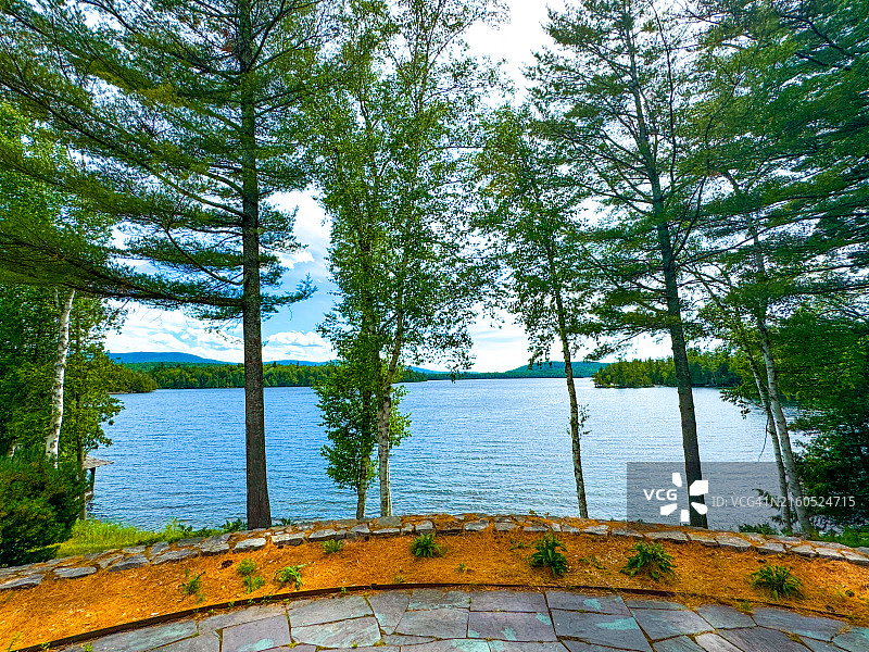 蓝山湖小树后水面涟漪图片素材