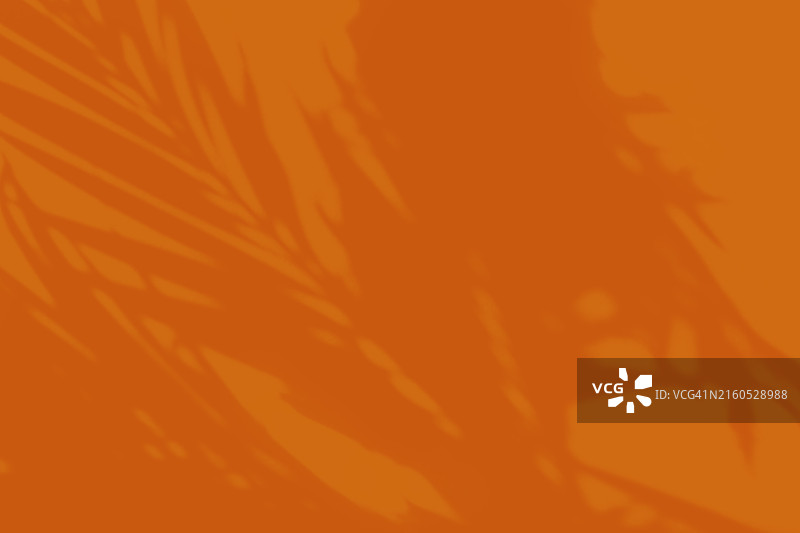 橙色植物阴影背景图片素材