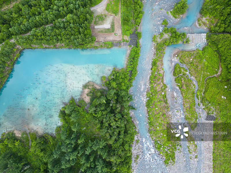 北海道白金青池图片素材