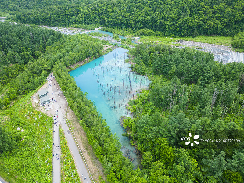 北海道白金青池图片素材