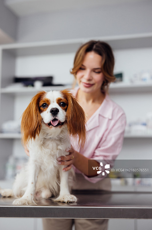 在兽医诊所里快乐的狗狗和主人图片素材
