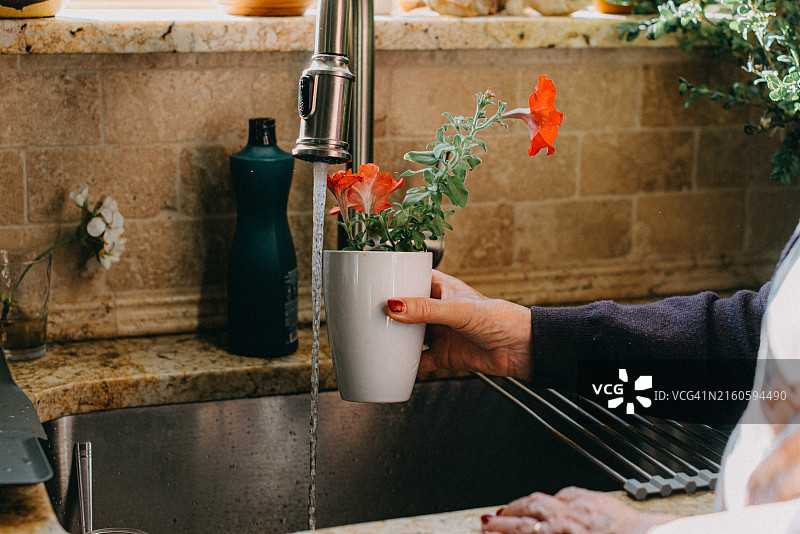 在水龙头下给植物浇水图片素材