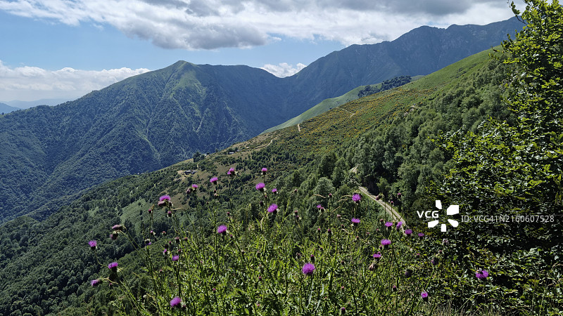 从巴瓦里奥内山俯瞰提契诺-瓦尔格兰德-韦尔巴诺联合国教科文组织生物圈保护区和瓦尔格兰德国家公园，背景是马罗纳峰和库尼亚科尔塔峰图片素材