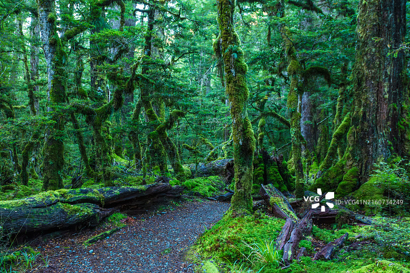 格恩湖自然步道图片素材