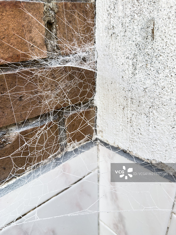 砖墙角上厚重的蜘蛛网图片素材