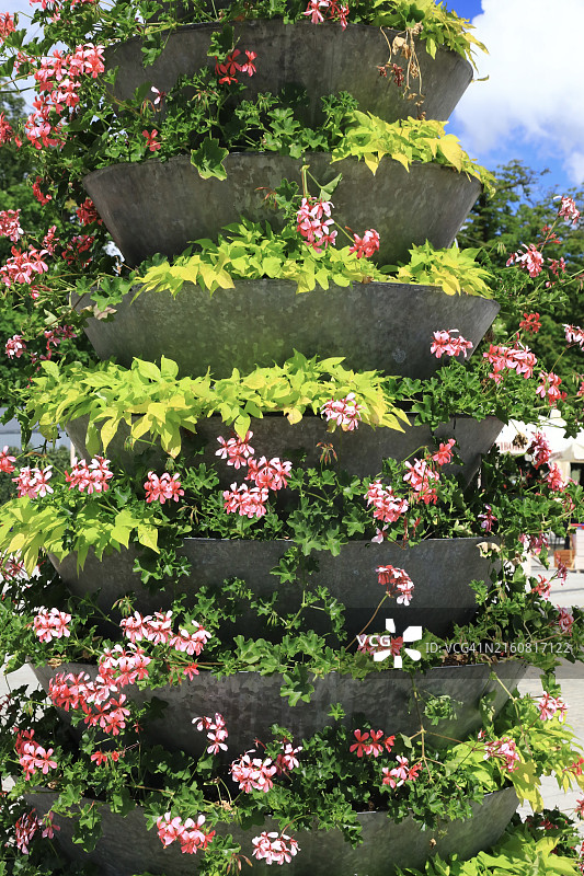 分层花盆与美丽的粉色花朵图片素材