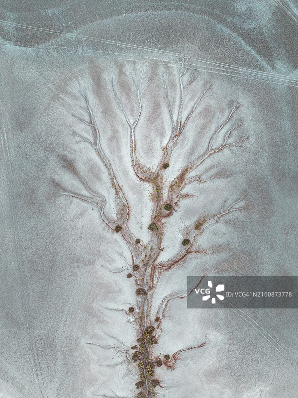 澳大利亚西澳大利亚金伯利温德姆，无人机拍摄的干旱洪泛区河流支流树枝图片素材