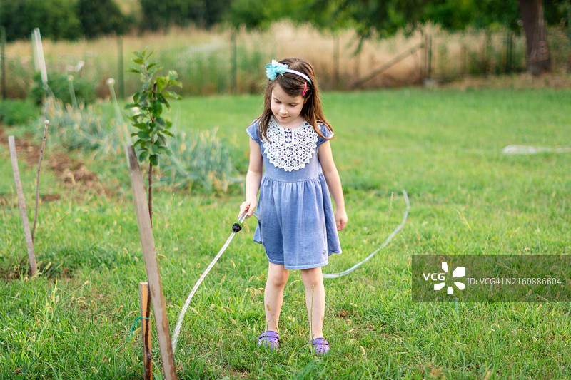 女孩在后院给果树浇水图片素材