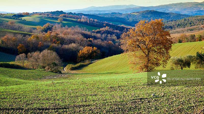 秋季天空下的田野风光图片素材
