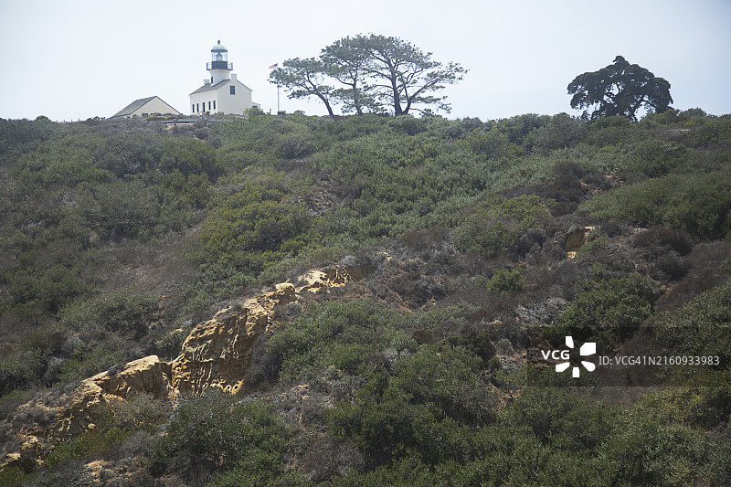 卡布里洛国家纪念碑山坡上的树叶，远处是旧洛马角灯塔和朦胧的天空图片素材
