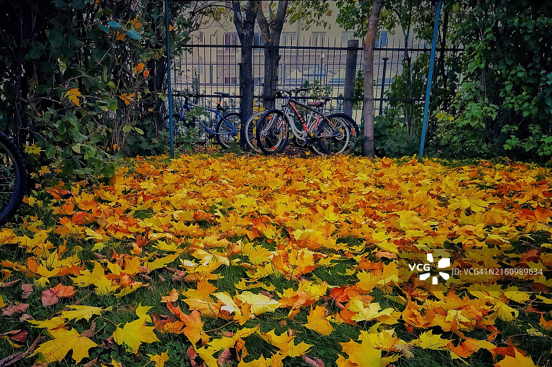 自行车季末图片素材