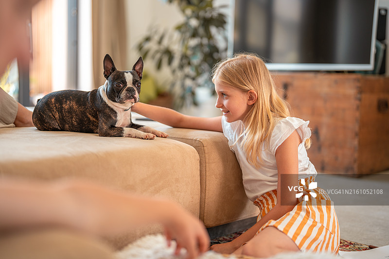 在舒适的客厅里与宠物狗共度家庭时光图片素材