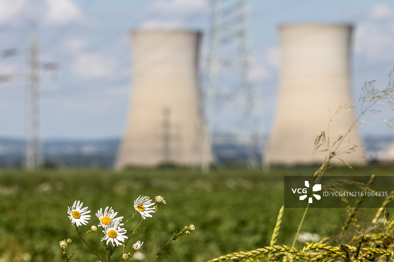 格拉芬莱因费尔德/巴伐利亚，核电站的两座大型冷却塔位于种满雏菊的农田后方。图片素材