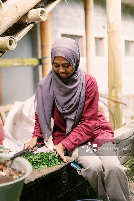 穆斯林妇女切割蔬菜残渣喂鸡图片素材