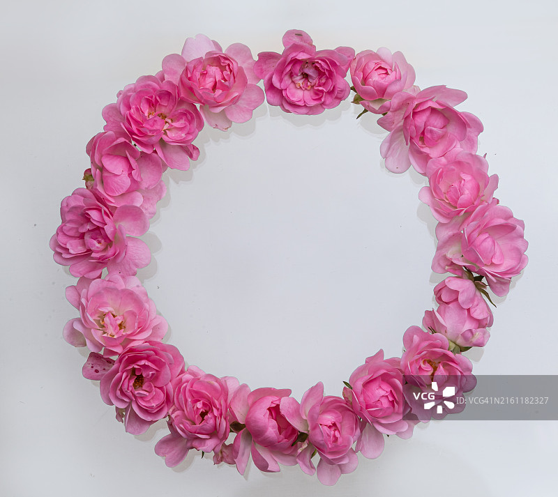 白色背景上的鲜花高角度视图图片素材