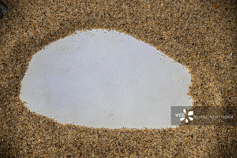 稻米特写图片素材