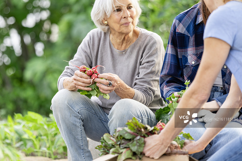 年长的女人仔细倾听她成年女儿们的谈话图片素材