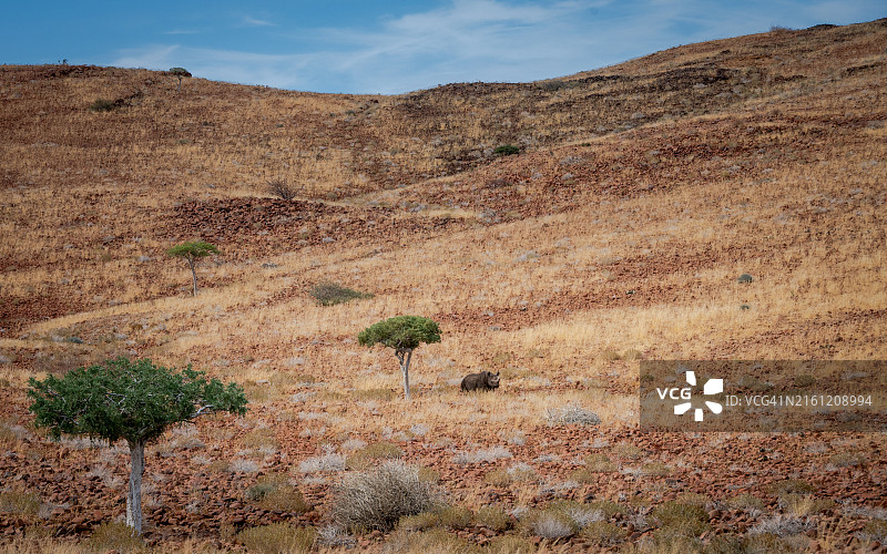 天空衬托下的田野风景图片素材