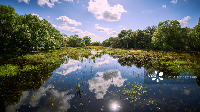 佛罗里达州萨拉索塔湖泊风光，美国图片素材