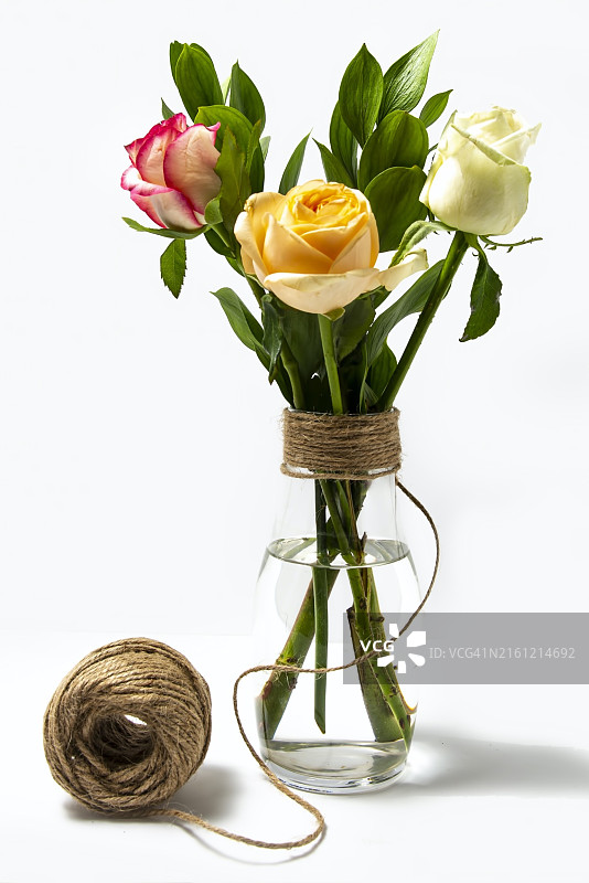 花瓶中的玫瑰特写，白色背景图片素材