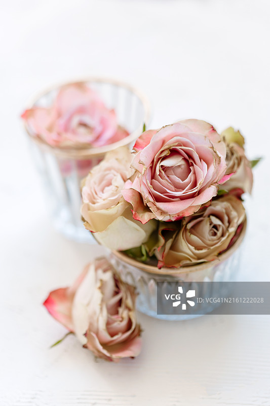 玻璃杯中的彩色玫瑰图片素材