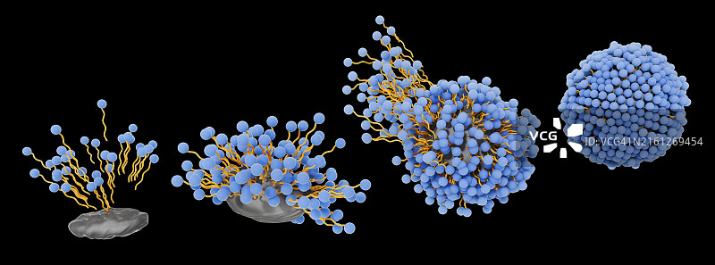 肥皂分子在微胞内捕获污垢插图图片素材