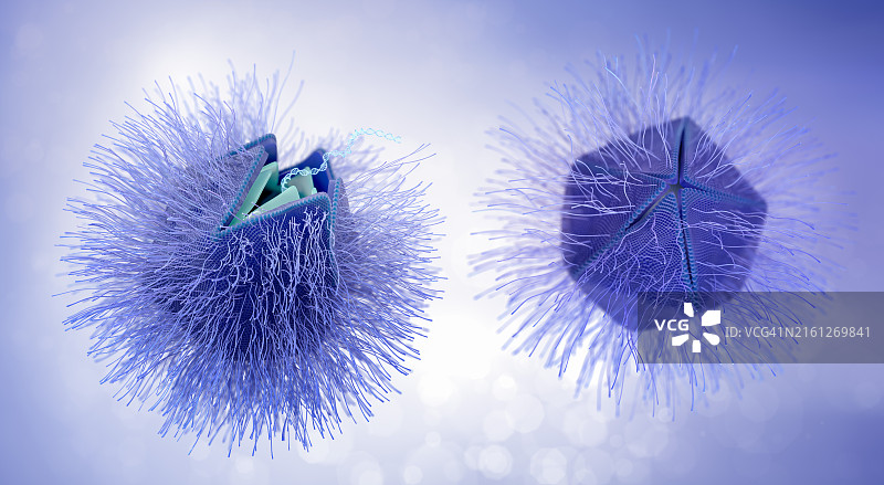 释放DNA的巨型病毒颗粒图片素材