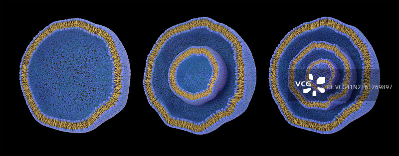 脂质体类型图示图片素材