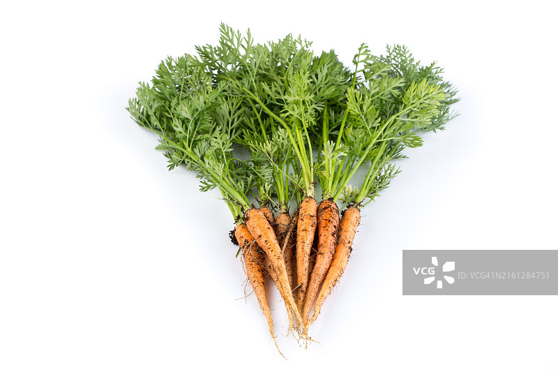 白色背景上的一堆新鲜胡萝卜图片素材