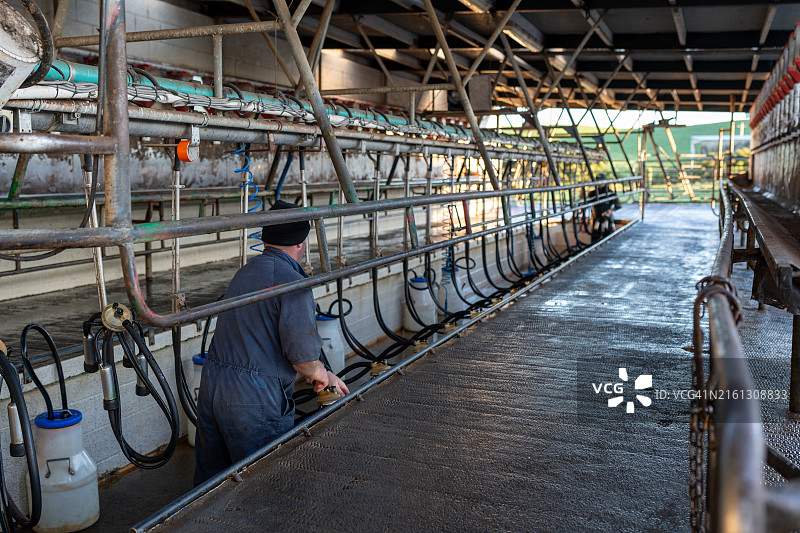 新西兰乳品农业图片素材