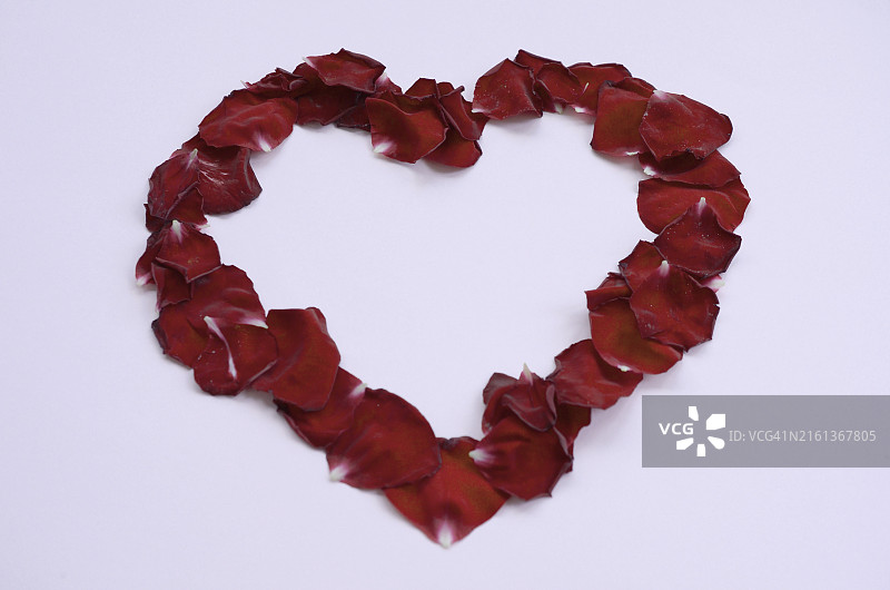 淡紫色背景上的深红色玫瑰花瓣，带有留白的情人节背景图片素材