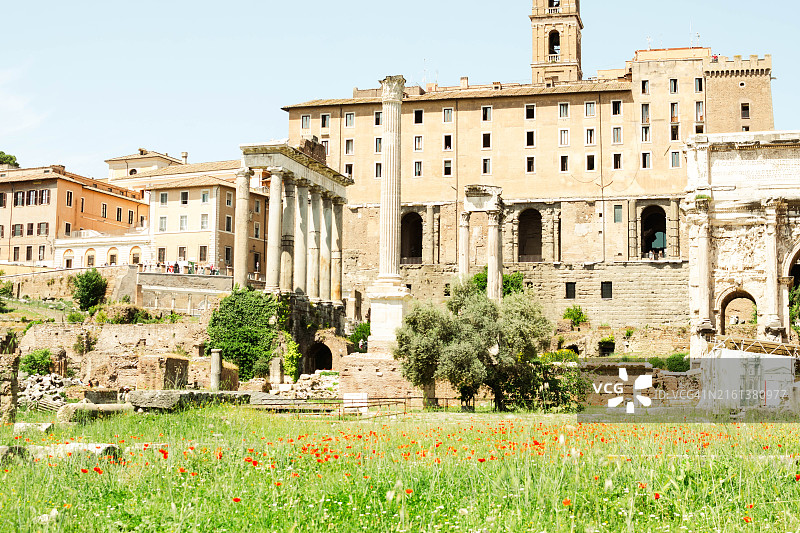 维斯塔贞女之家与罗马广场的绿色草地景色图片素材
