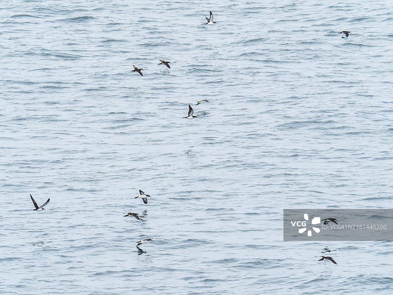 英国苏格兰阿德纳默坎角附近Portuairk偏远村庄的海滩图片素材