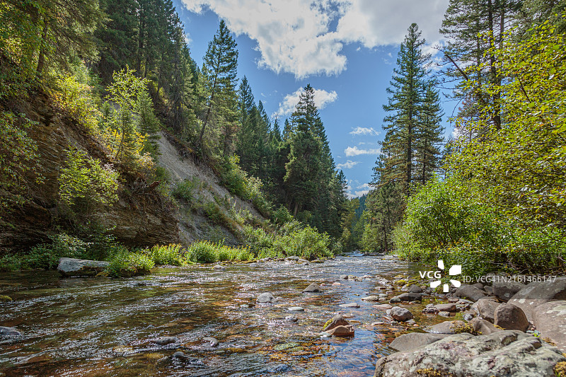 蒙大拿州米苏拉洛洛国家森林的响尾蛇溪清澈的溪水图片素材