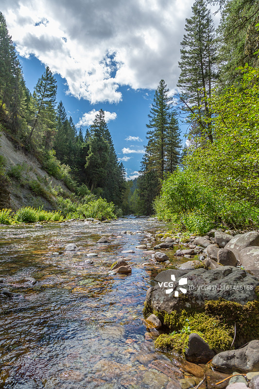 响尾蛇溪清澈的溪水蜿蜒流淌在米苏拉洛洛国家森林中，蒙大拿州图片素材