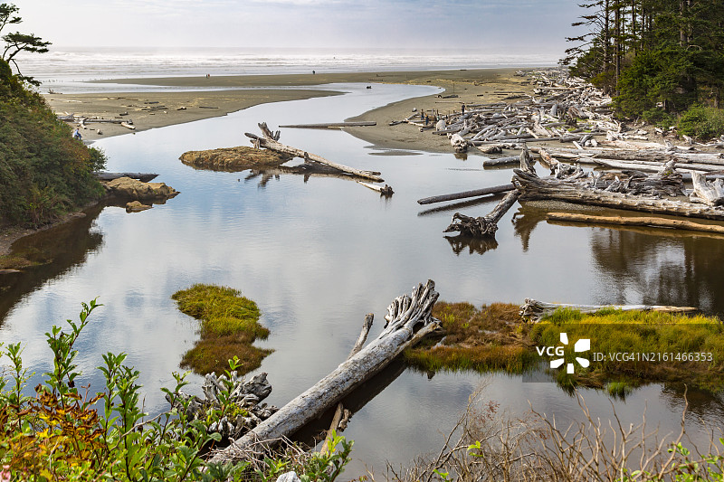 华盛顿州福克斯卡拉洛克河入海口岸边的浮木图片素材