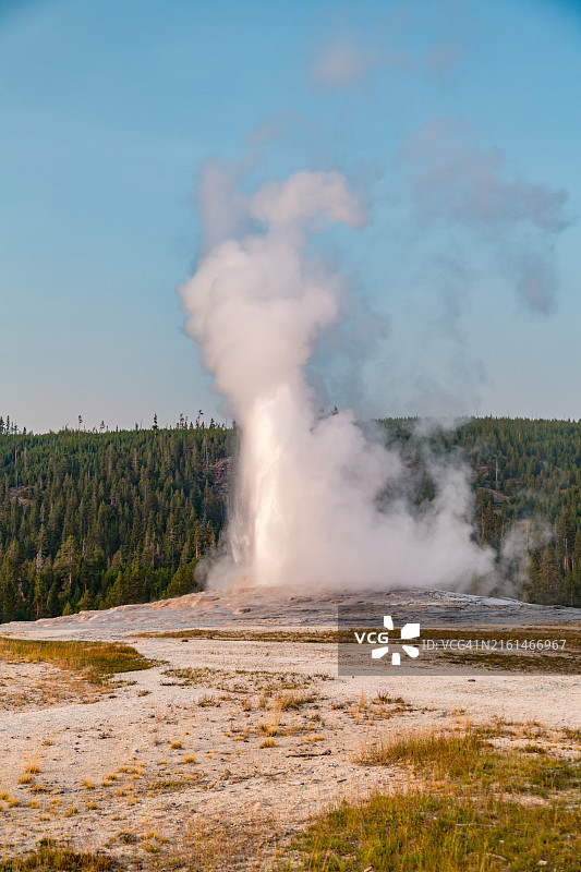 黄石国家公园老忠实间歇泉喷发图片素材