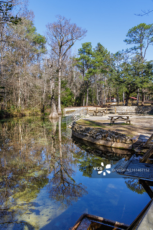 佛罗里达州庞塞德莱昂泉州立公园：潜水和游泳胜地图片素材