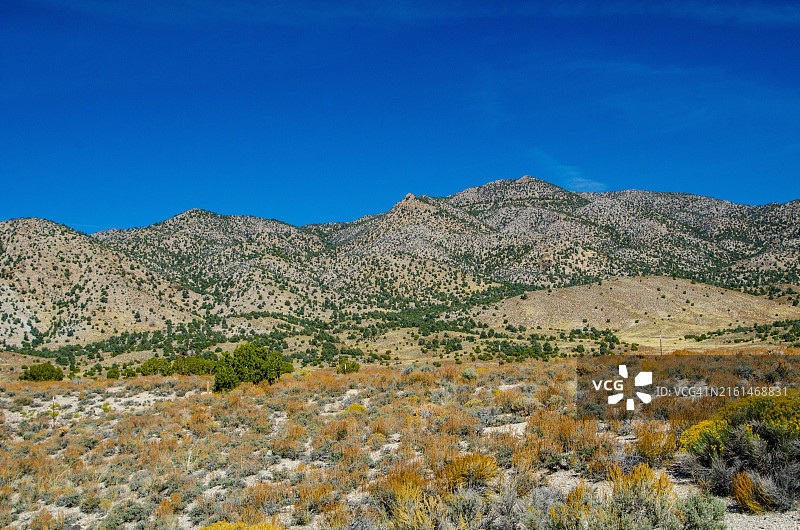 内华达州白松山脉图片素材