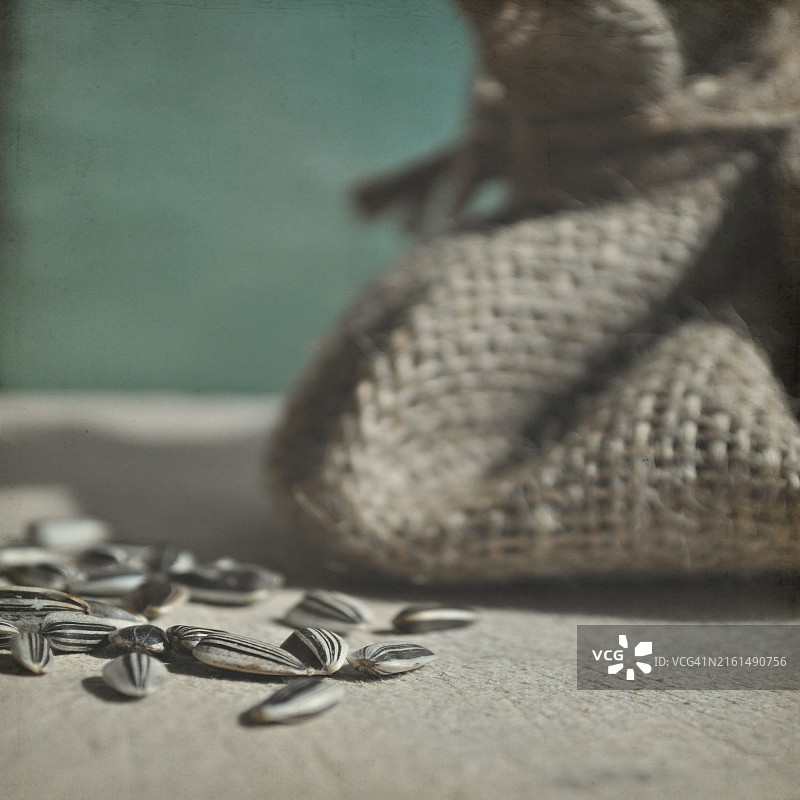 Lyn Randle 向日葵籽图片素材