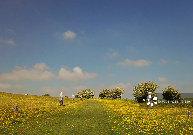林恩·兰德尔巨石阵，田野里开满了黄色花朵图片素材
