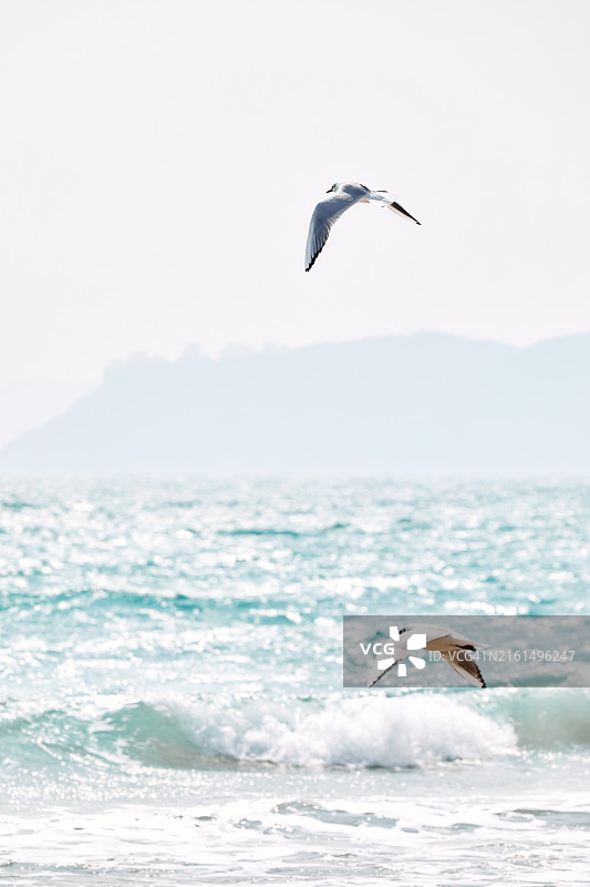 釜山海滩海景背景图片素材