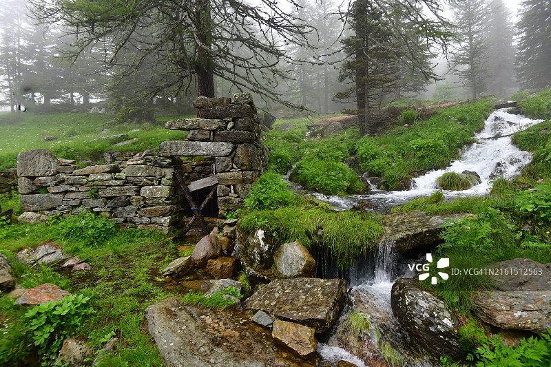 落叶松林中的古老乡村建筑图片素材