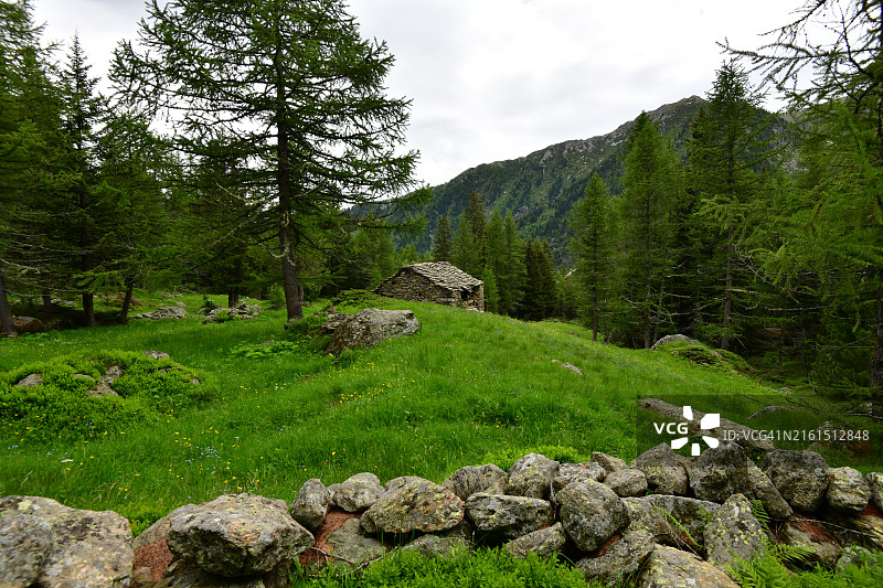 阿尔卑斯山的绿色草甸和古老小屋图片素材