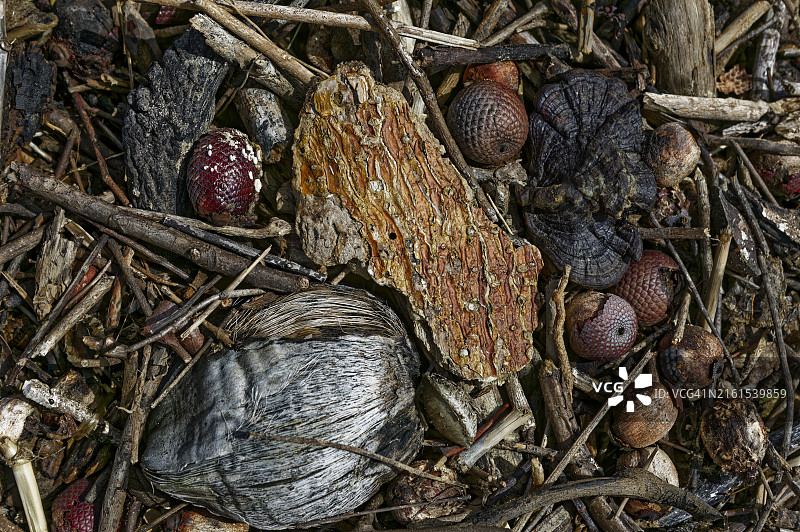 静物画图片素材