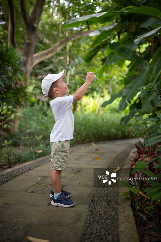 戴着白色帽子的3岁男孩用玩具相机拍摄热带花园中茂盛的绿色植物图片素材