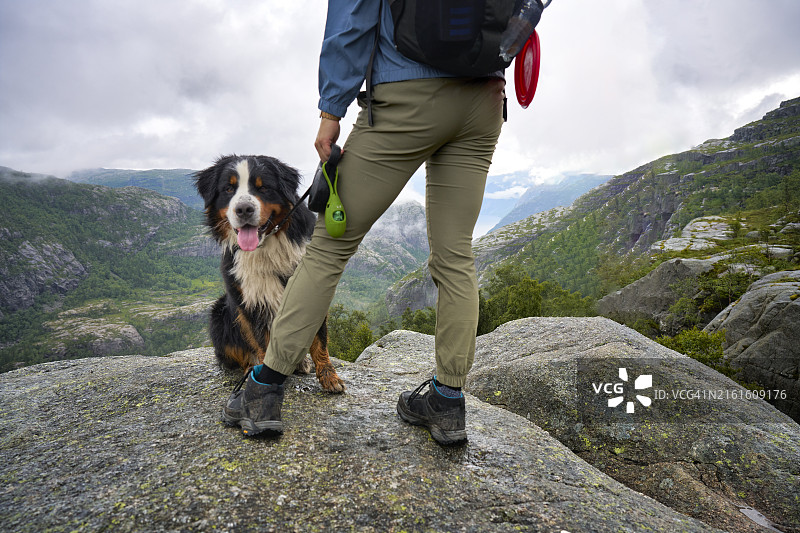 男孩和柯利牧羊犬在挪威山区远足观光图片素材