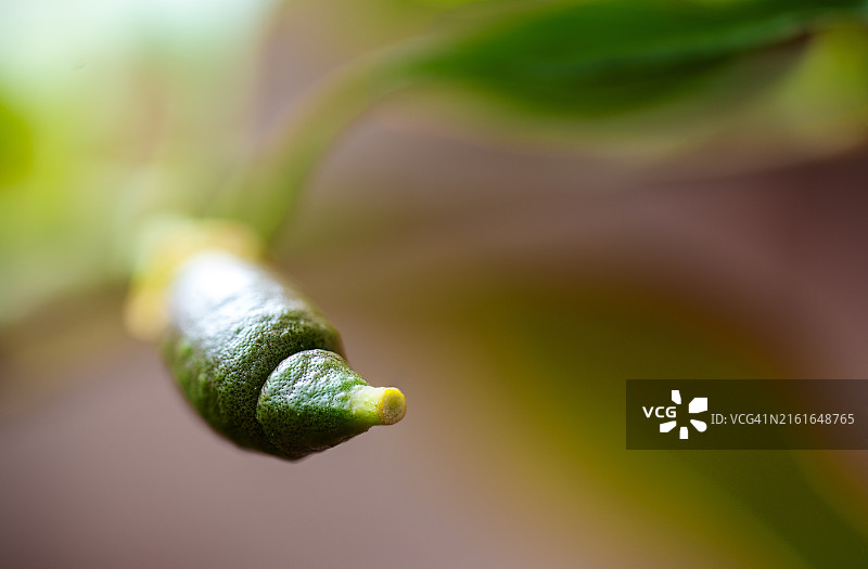 厂房特写图片素材